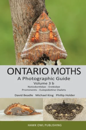 Ontario Moths volume 3b book cover screenshot