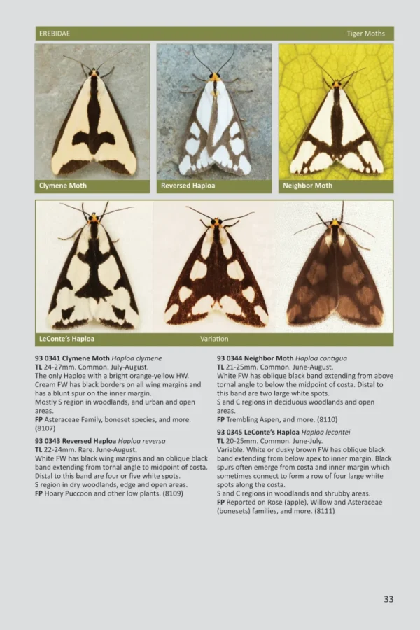 Ontario Moths volume 3b page 33 screenshot