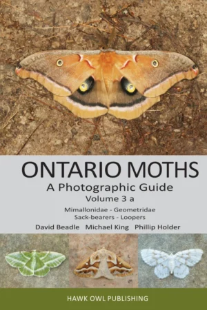 Ontario Moths volume 3 a book cover with colourful moths